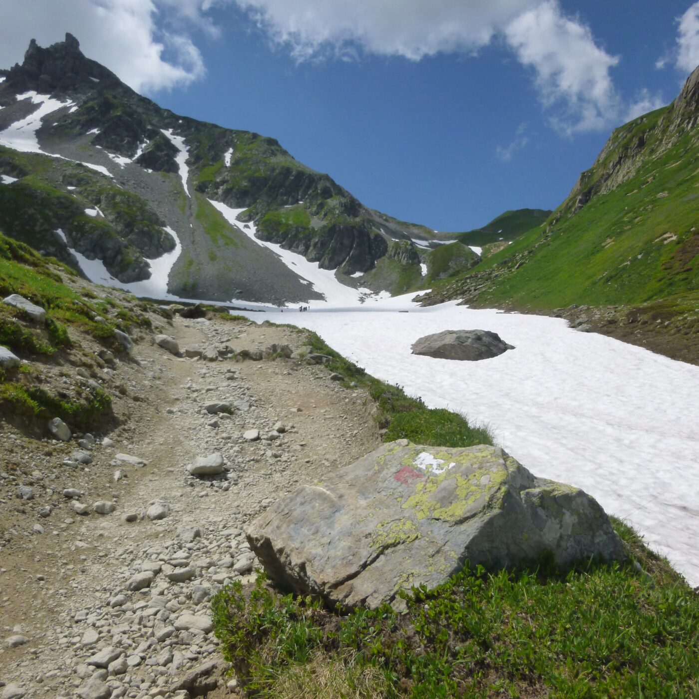 "Oui, il faut réguler le Tour du Mont-Blanc", affirme la présidente de la Fédération Française de Randonnée de Haute-Savoie episode artwork