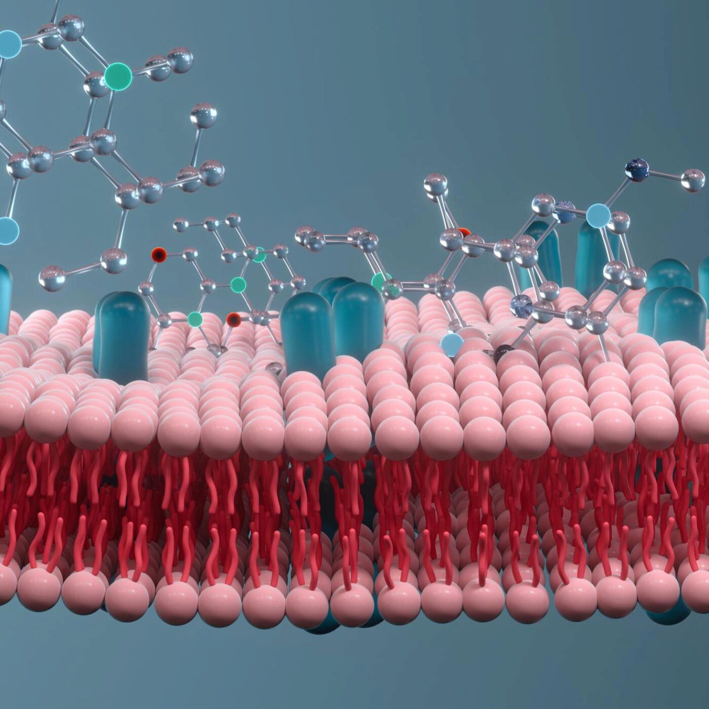 Des lipides, des momies et l'intelligence collective