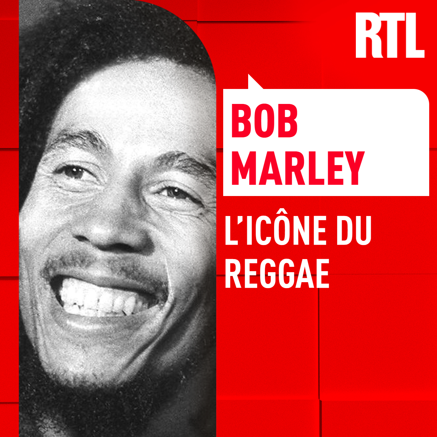 L'INTÉGRALE - Bob Marley, l'icône du reggae episode artwork