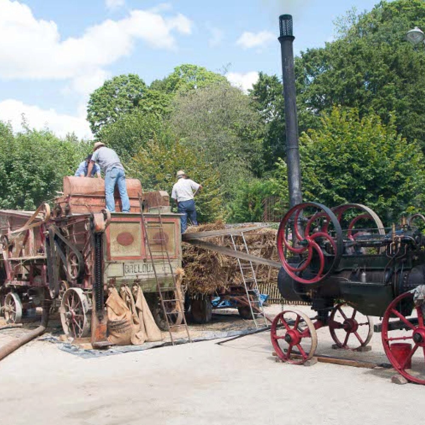 Revivre une foire bressane à l'ancienne à Coligny le 4 août 2026 episode artwork