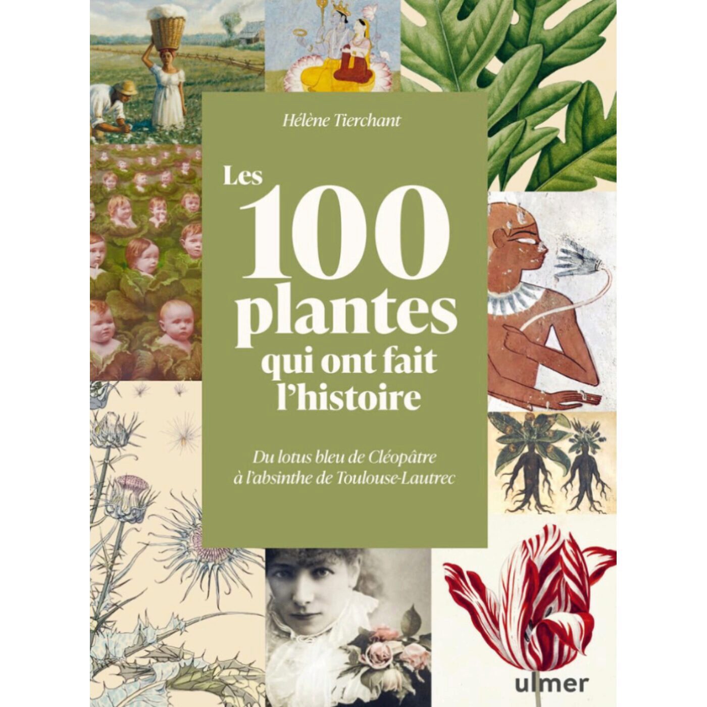 Les 100 plantes qui ont fait l'histoire - Hélène Tierchant Les 100 plantes qui ont fait l'histoire - Hélène Tierchant