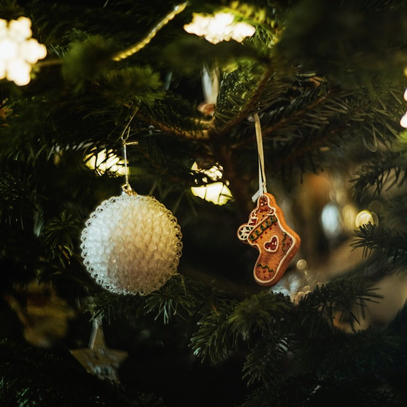 Un Noël lumineux à Privas episode artwork