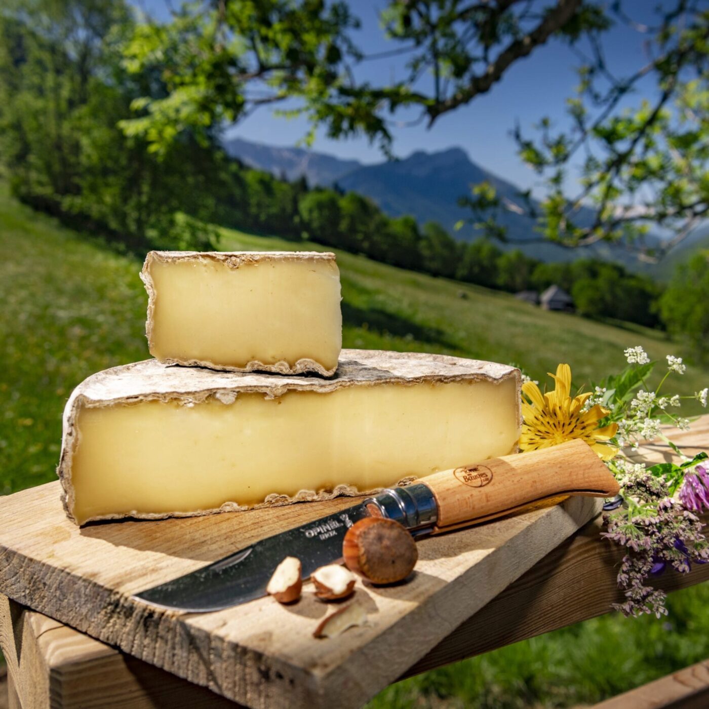 "La Tome des Bauges, c'est un peu notre muraille de Chine" : le patrimoine alimentaire alpin bientôt reconnu par l'UNESCO ? episode artwork