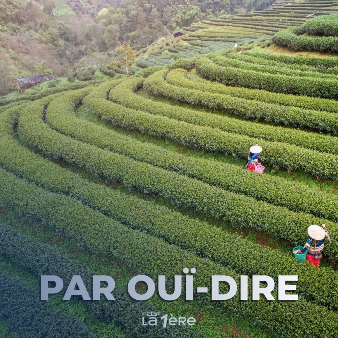 Le thé avec François-Xavier Delmas