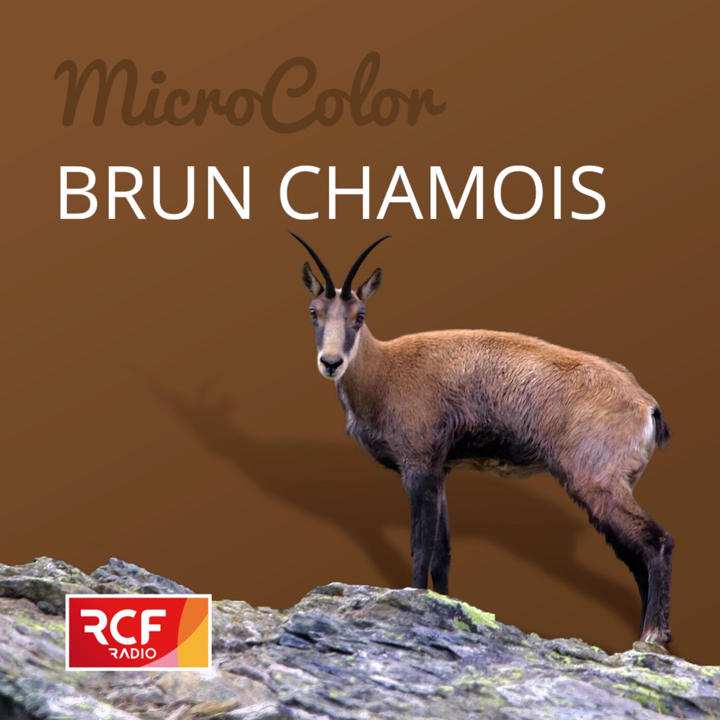 Brun chamois episode artwork