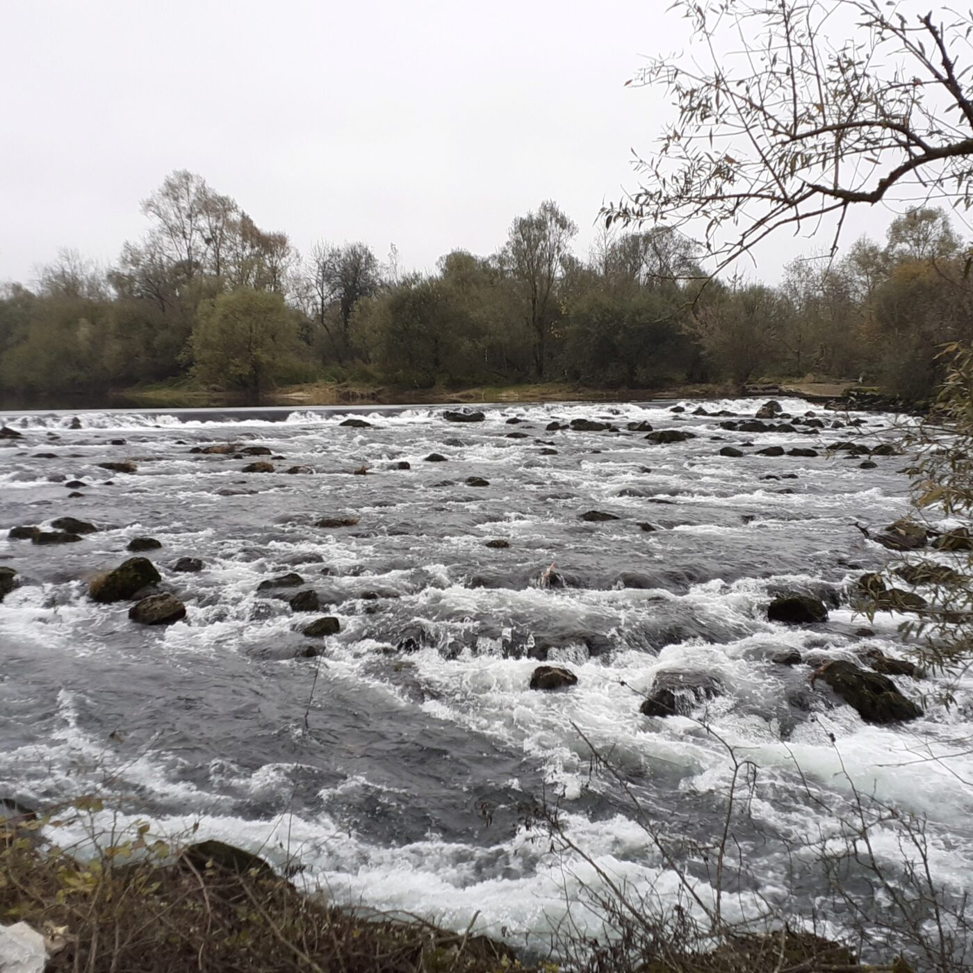 L'état écologique des eaux en Bourgogne-Franche-Comté episode artwork