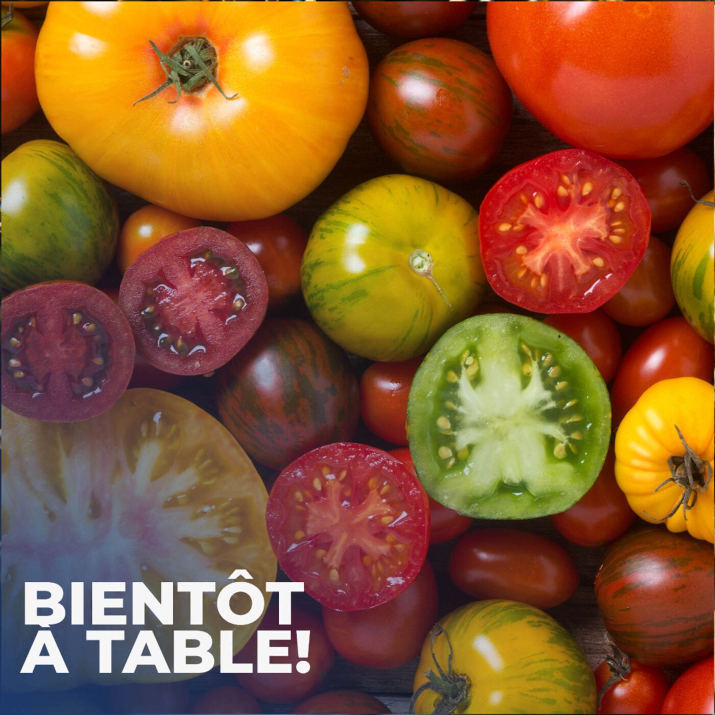 Mange des tomates mon amour!