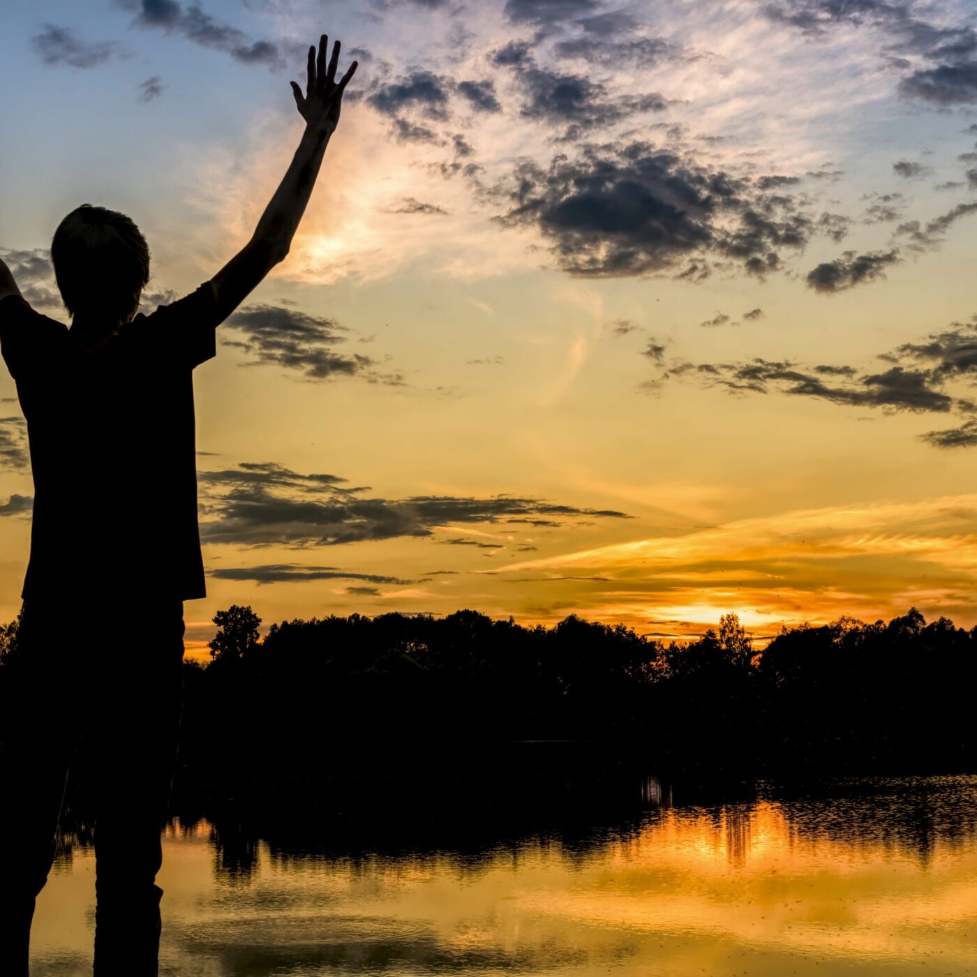 Témoins de Provence