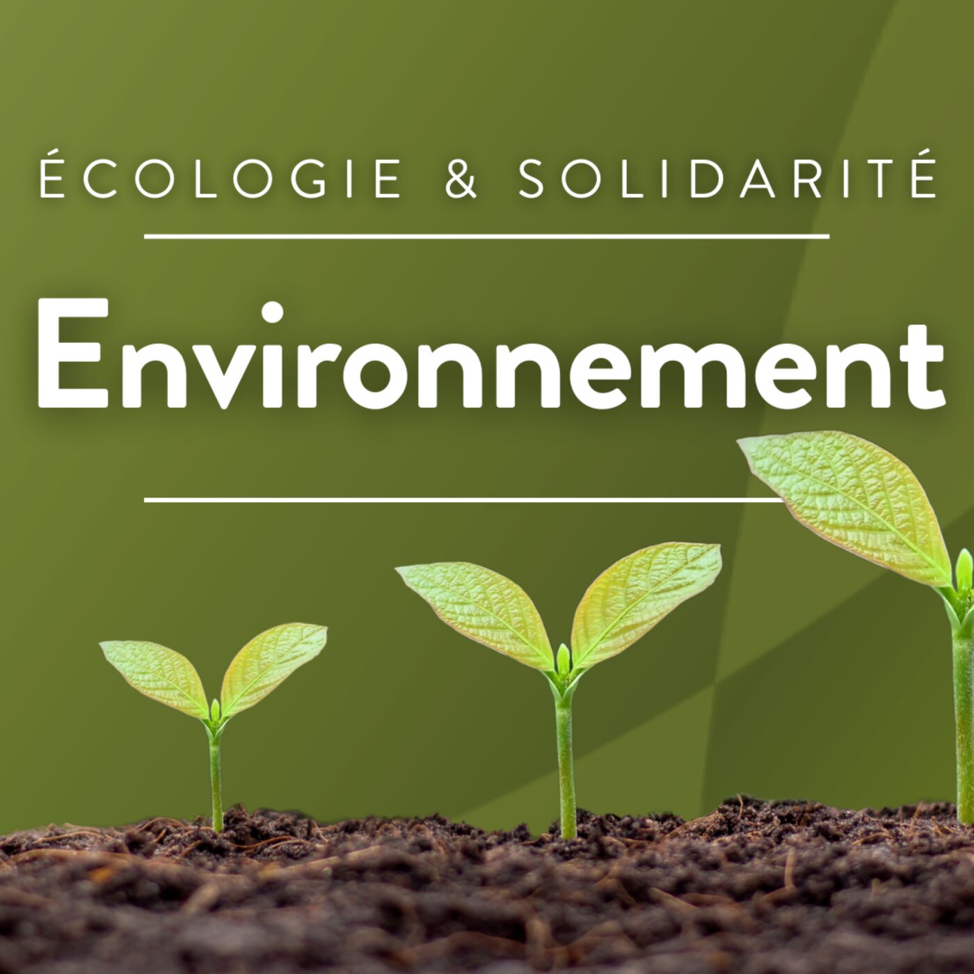 Environnement