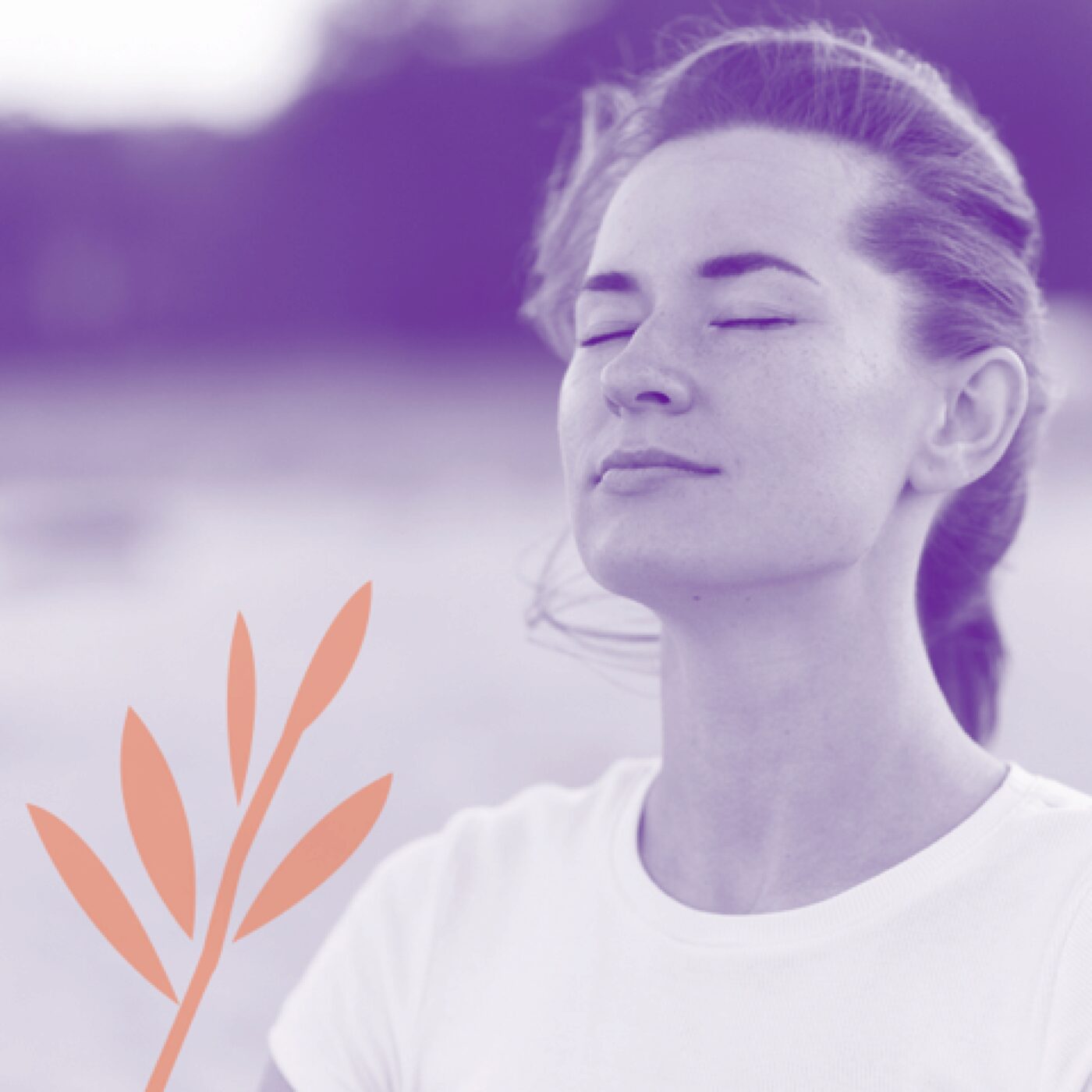 Polychrome, pour mieux vivre