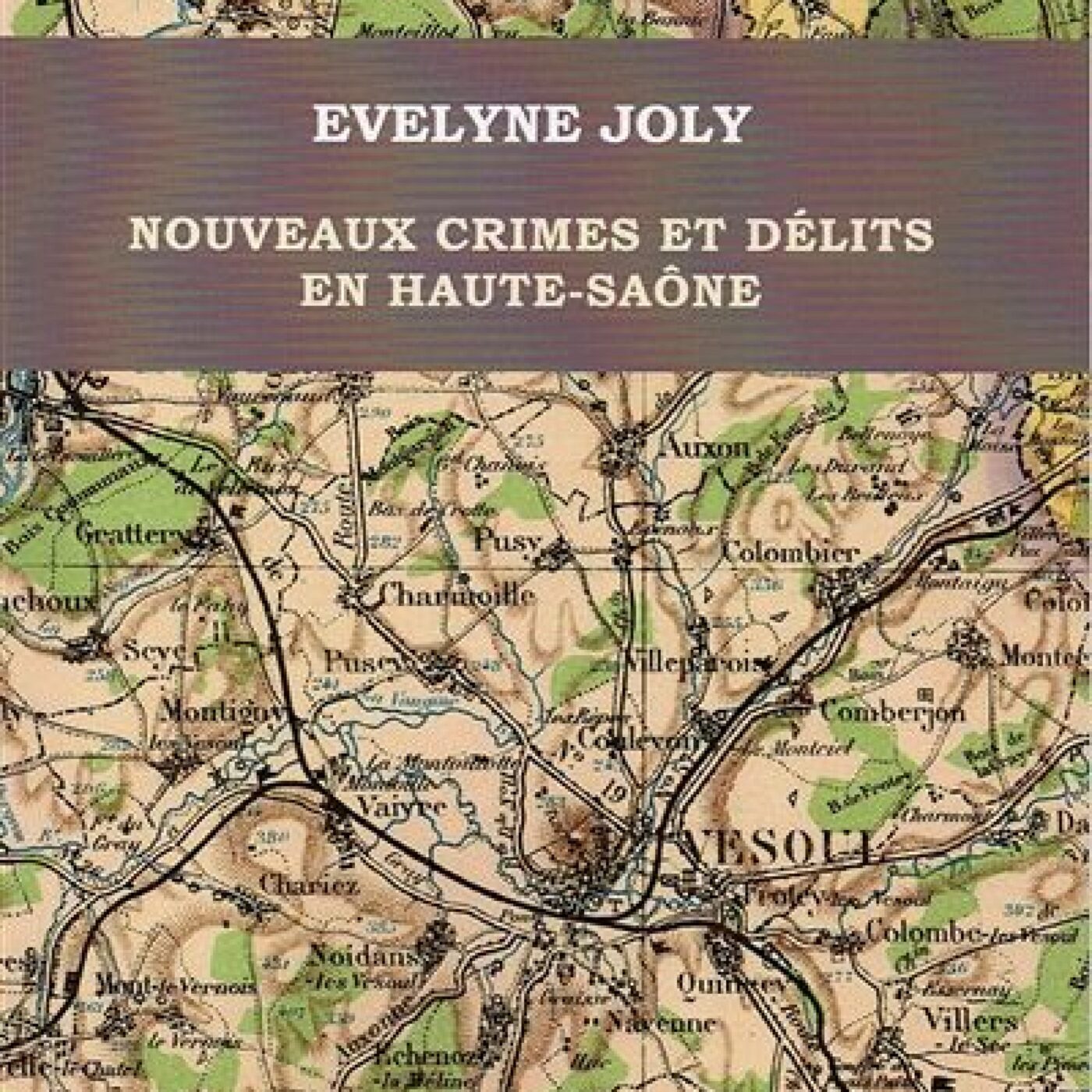 "Nouveaux crimes et délits en Haute-Saône" de Evelyne Joly episode artwork