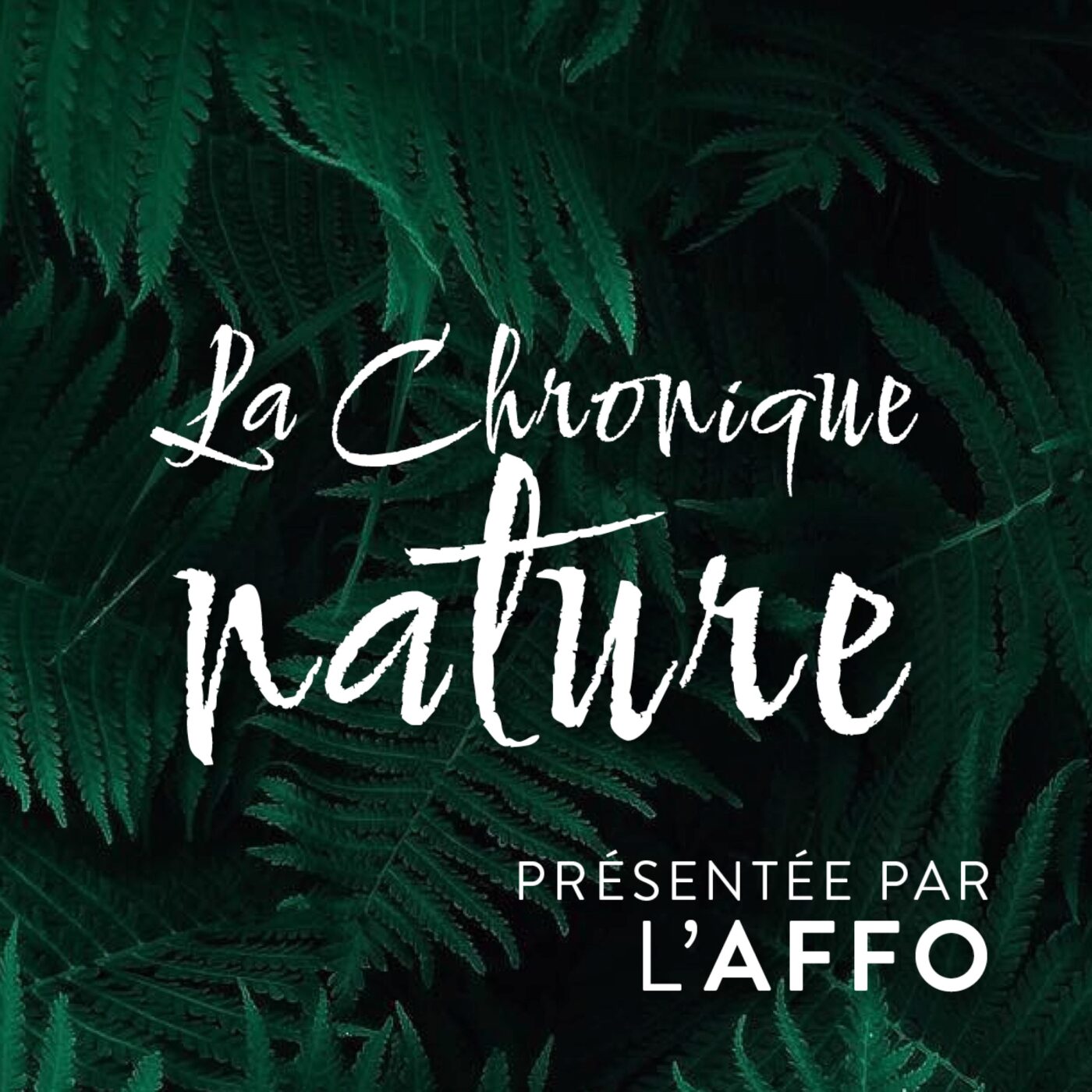La chronique nature