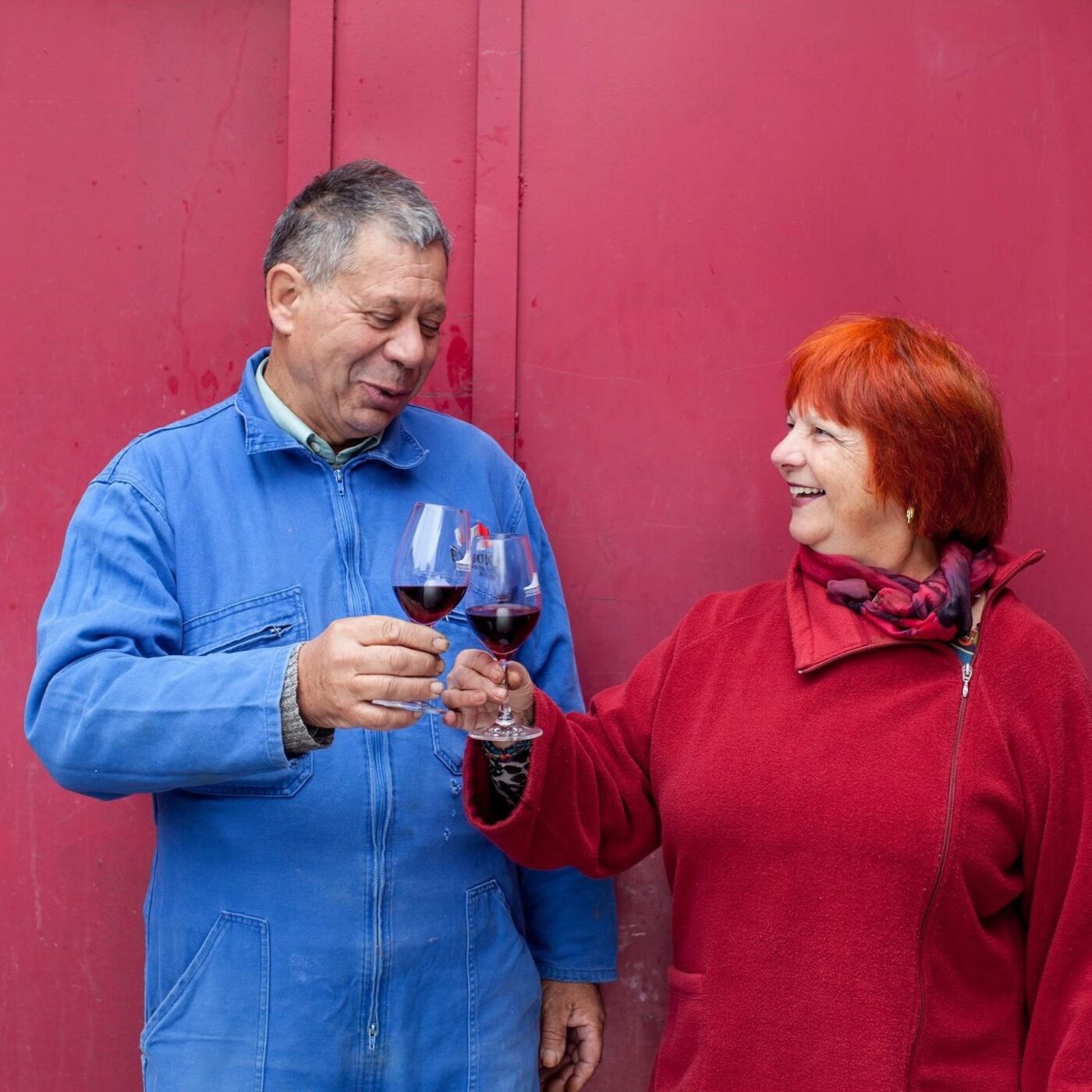 Ici nos vignes