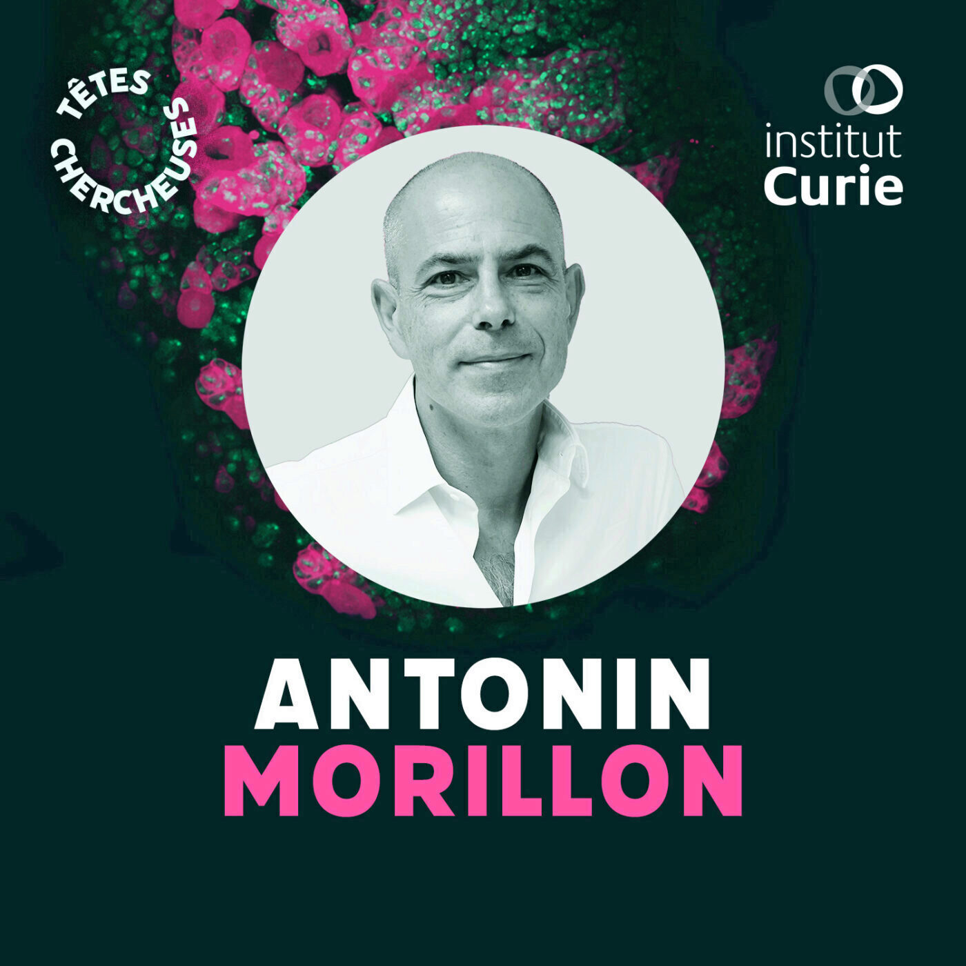 Transmission & sport collectif avec Antonin Morillon  – 2/2