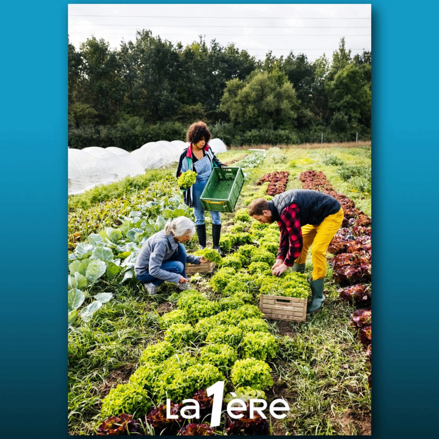 Malaise agricole : Quelles réponses peut apporter l’agroécologie ?