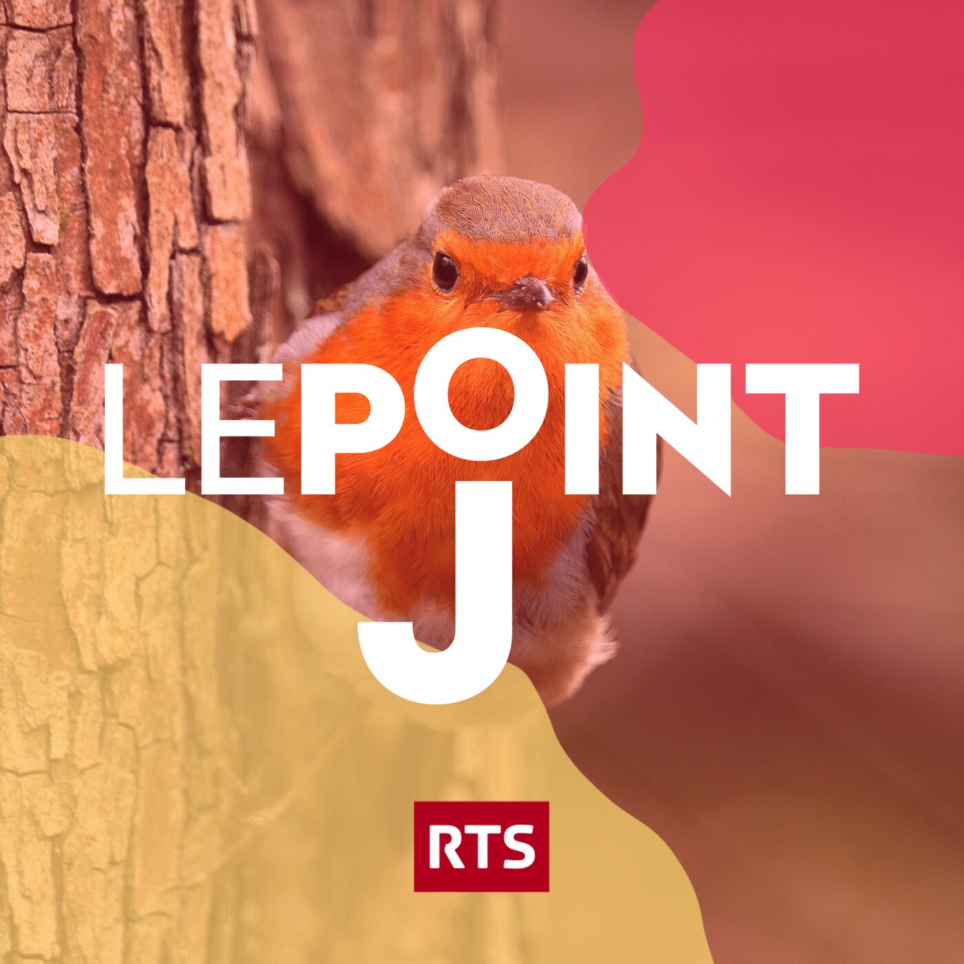 C'est quoi cette mode d'observer les oiseaux ?