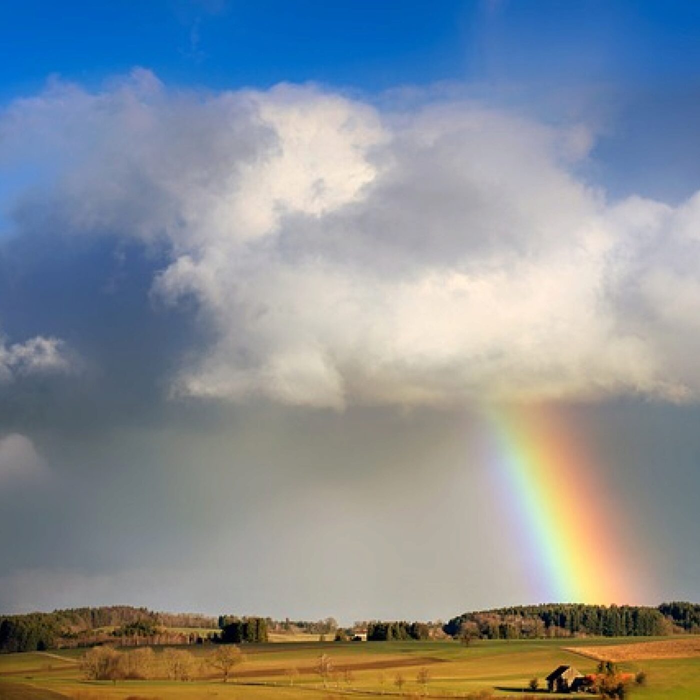 Le Téléphone du dimanche