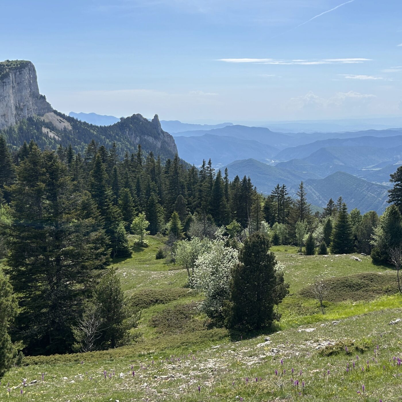 Focus sur l\'actualité en Isère