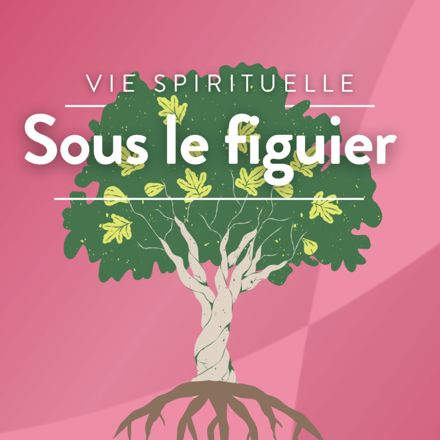 Sous le figuier
