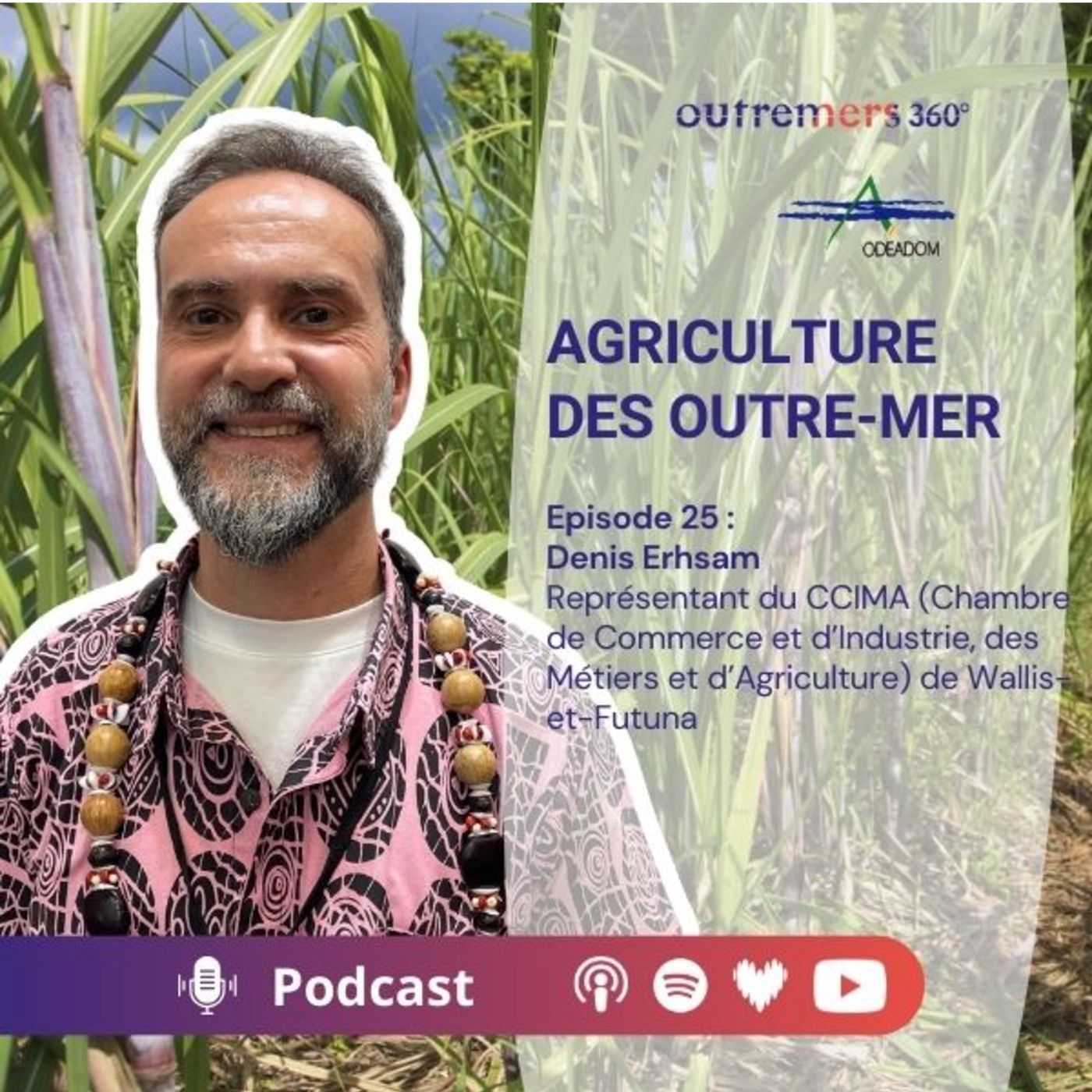 Episode 25_ Denis Ehrsam - Représentant du CCIMA Wallis-et-Futuna episode artwork