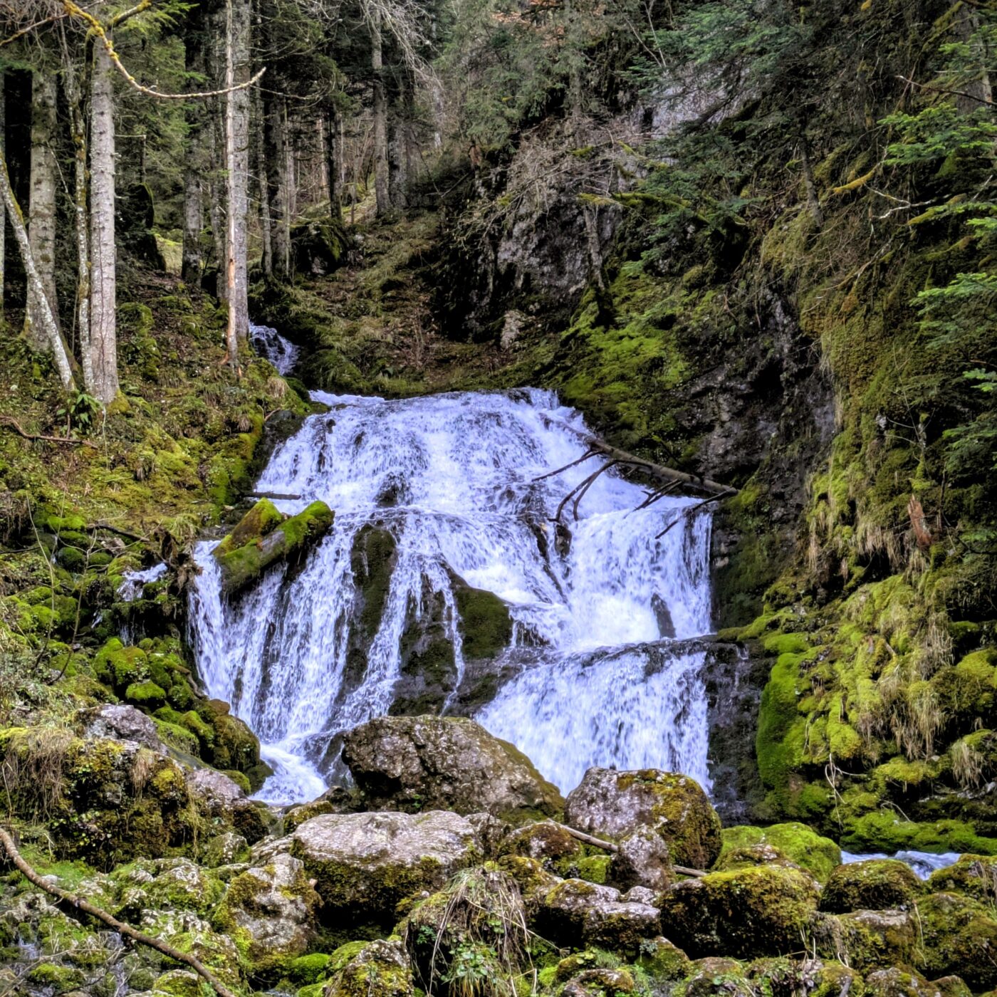 En Isère, plus d'un tiers des touristes viennent de la Région episode artwork
