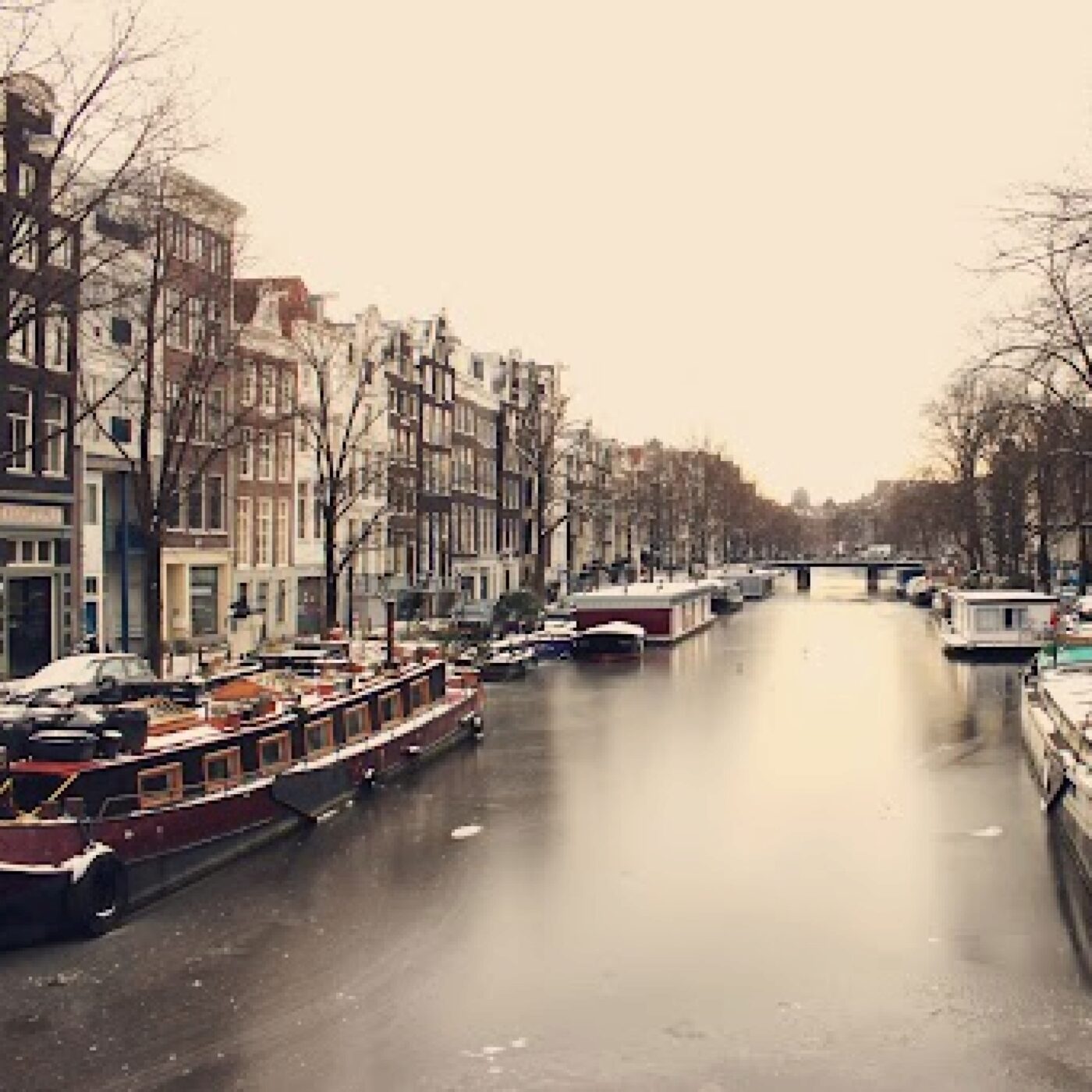 Polychrome, pour démêler le quotidien