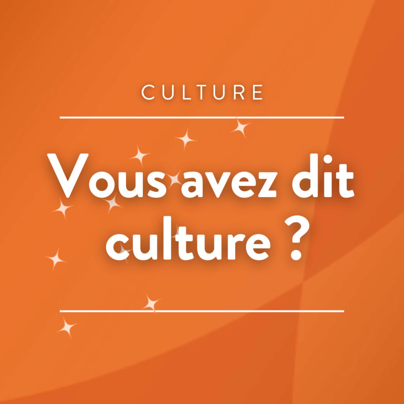 Vous avez dit culture