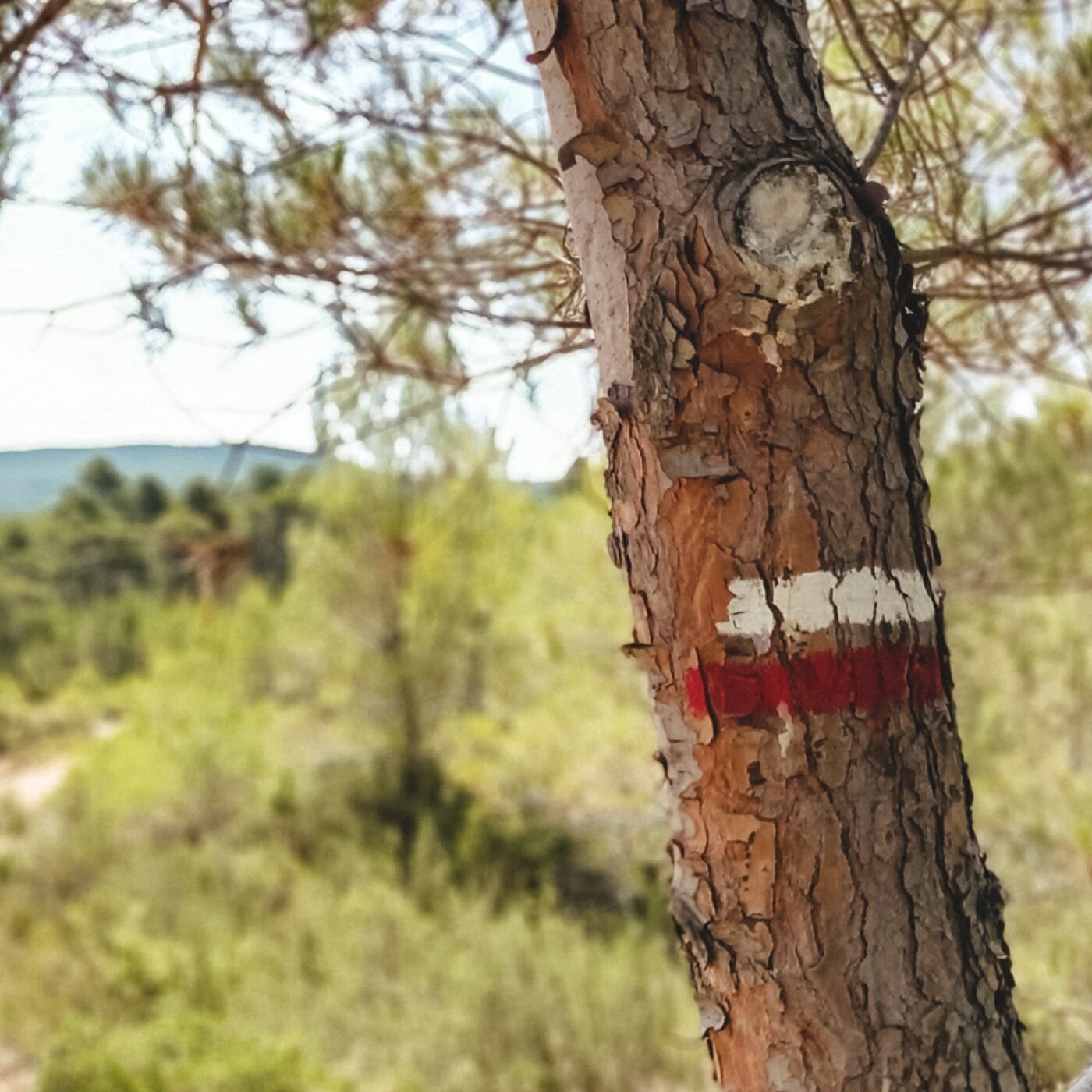 L\'invité culture