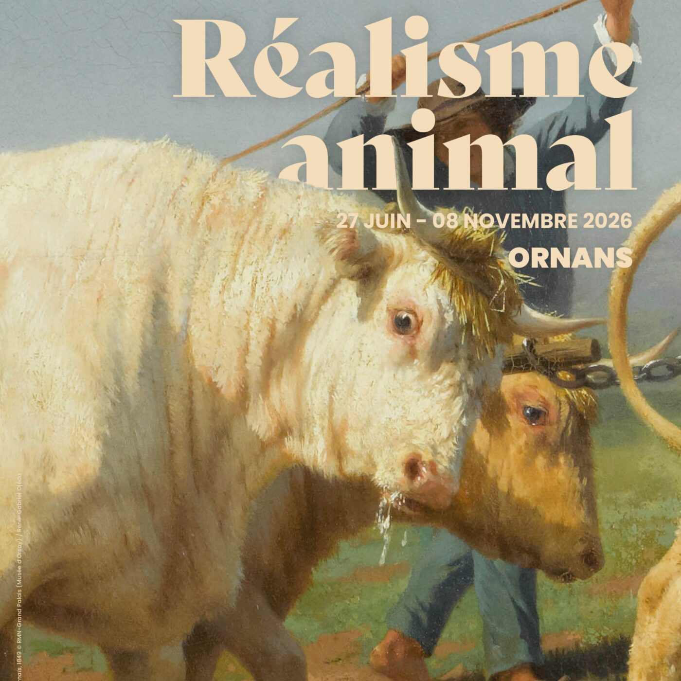 La nouvelle exposition temporaire "Réalisme animal" au musée Courbet d'Ornans episode artwork