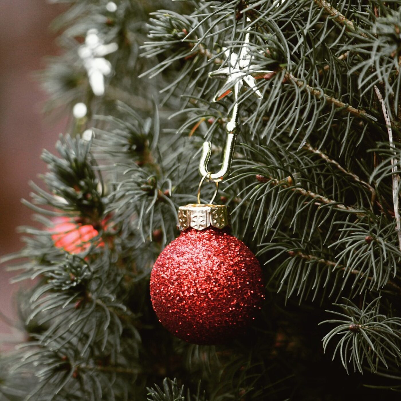 Une nouvelle édition de Noël Ensemble le 24 décembre 2025 à Lons-le-Saunier episode artwork