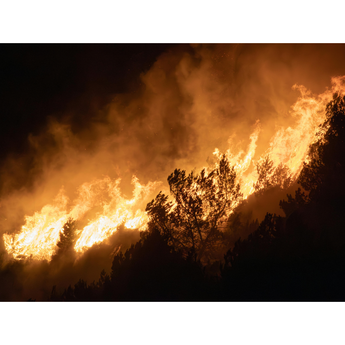 episode cover Incendie dans les Pyrénées-Orientales : 4 500 hectares brûlés, 26 communes appelées à évacuer