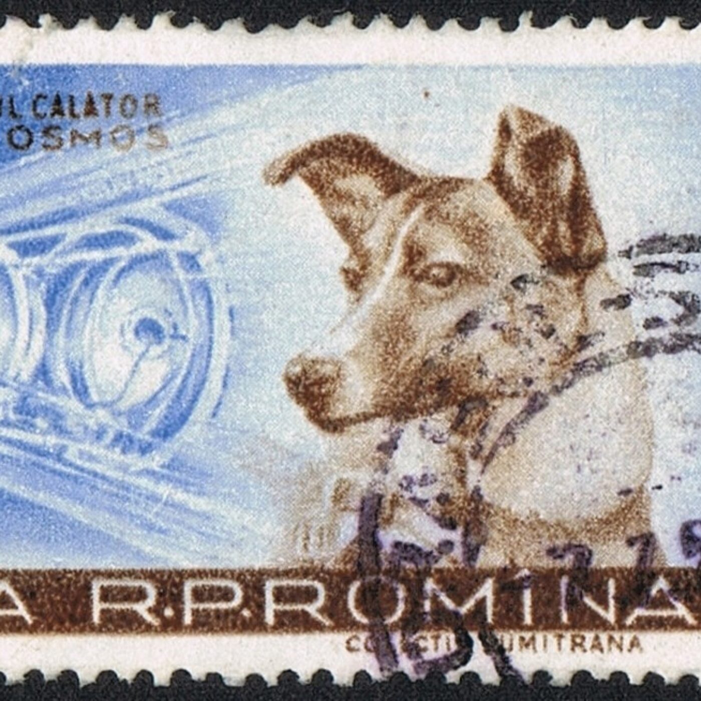 3 novembre 1957 La chienne Laïka part dans l'espace episode artwork