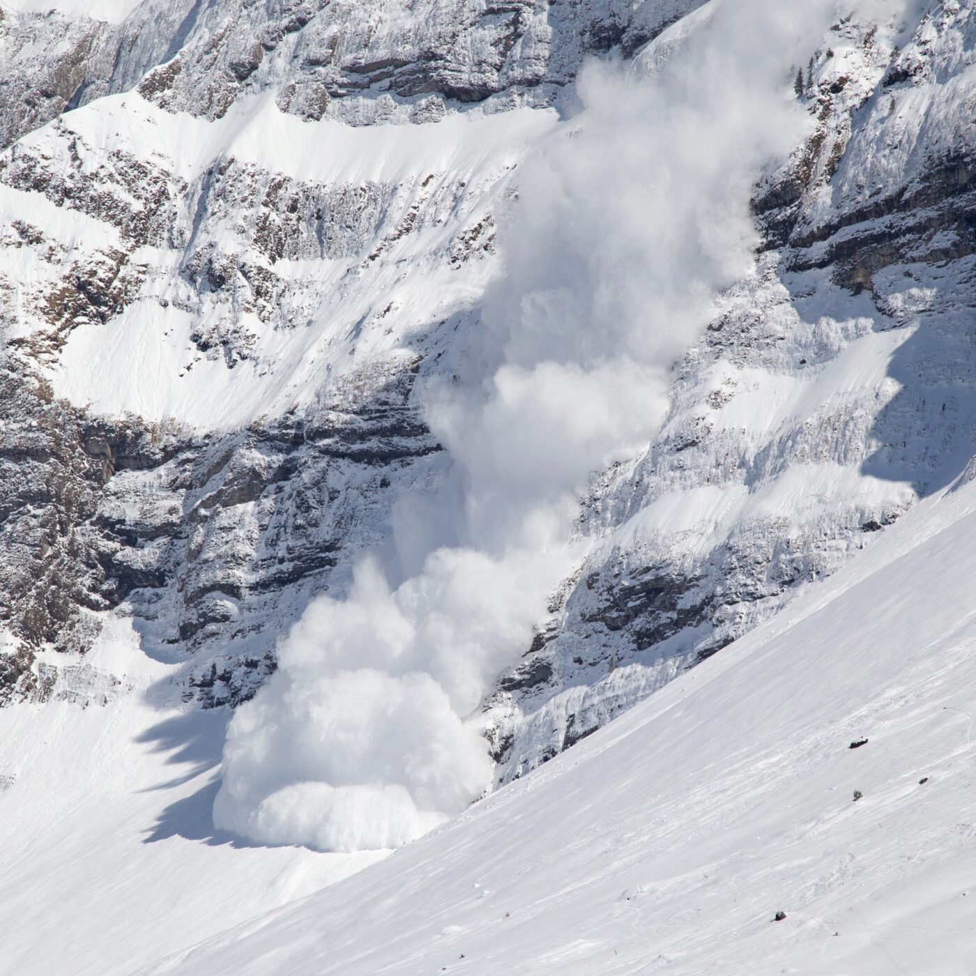 28 morts dans les avalanches cet hiver : qui sont les responsables ? episode artwork