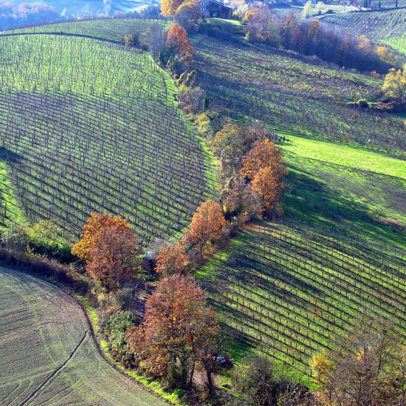 En Berry & ailleurs