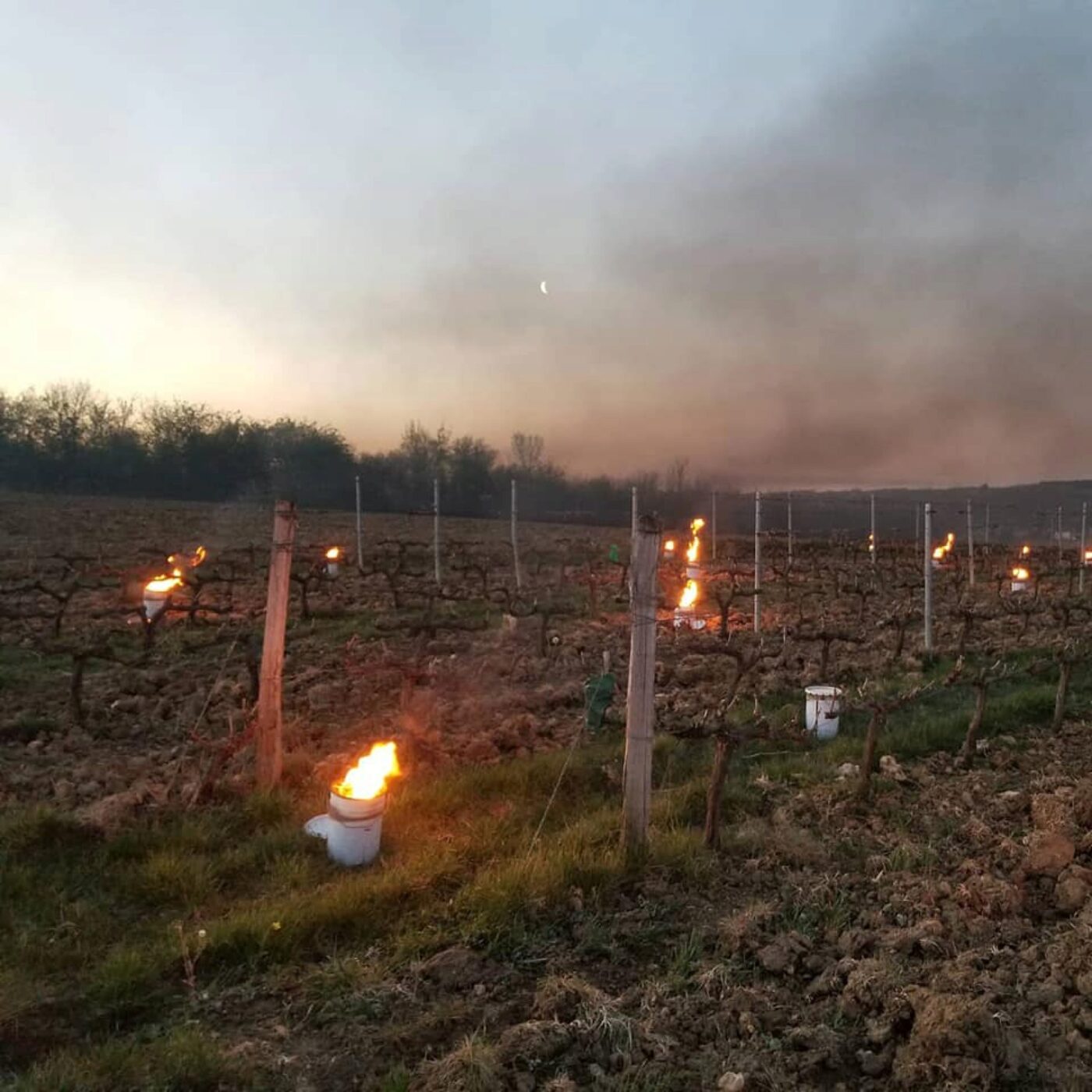 Les bougies réchauffent les coteaux de Jasnières episode artwork