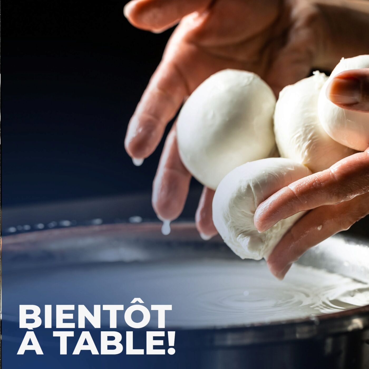 Mozza di bufala: du rêve à la réalité