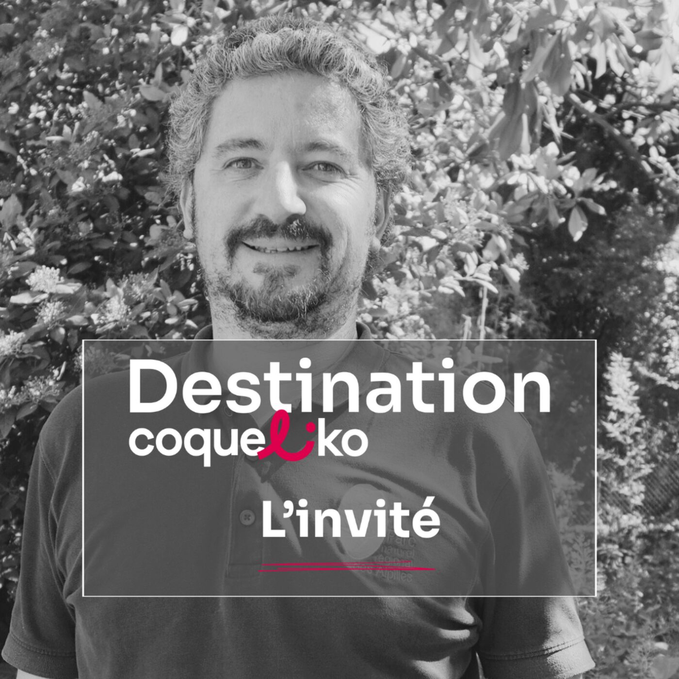 Destination Coqueliko