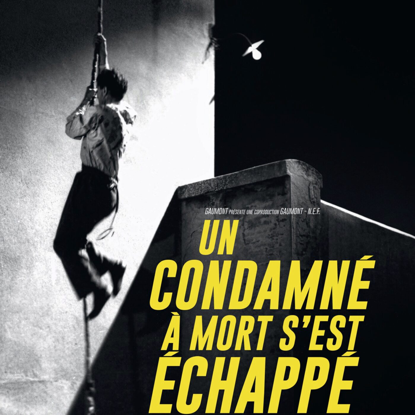 Plus vite, plus haut, plus fort