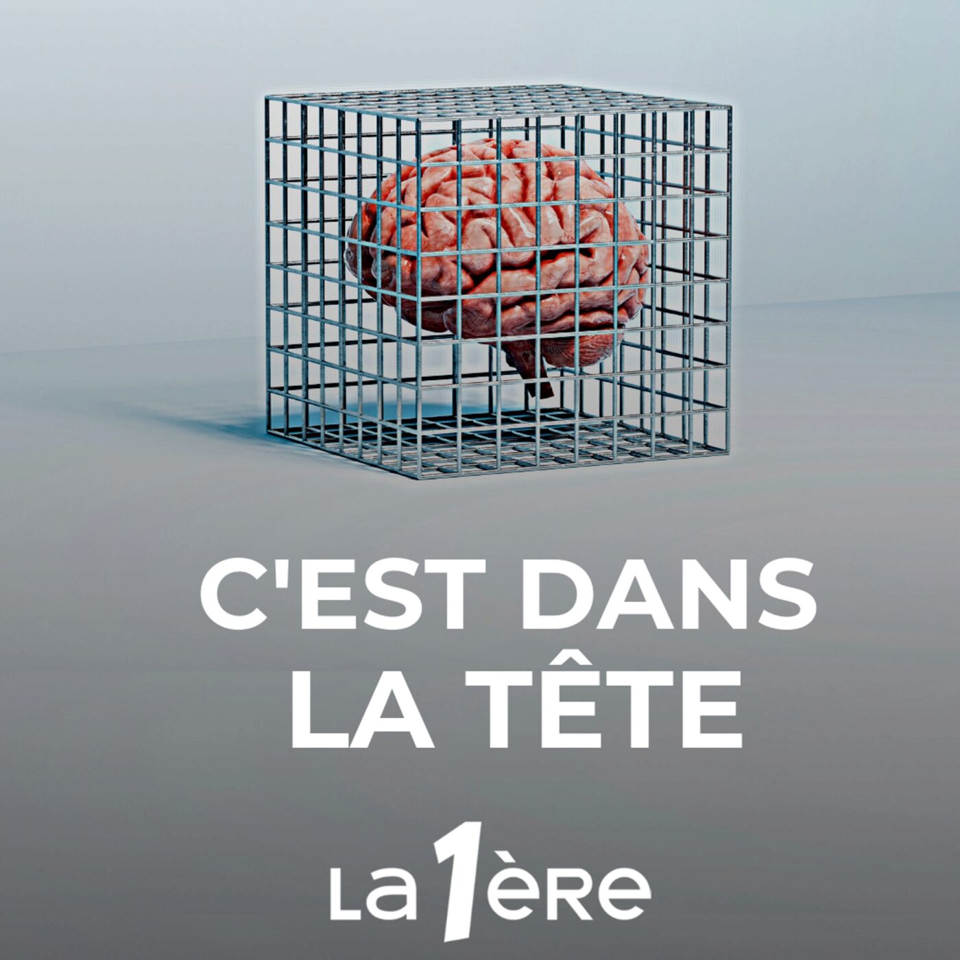 Episode 4 - L’importance du suivi médical : éviter la rechute après l’internement