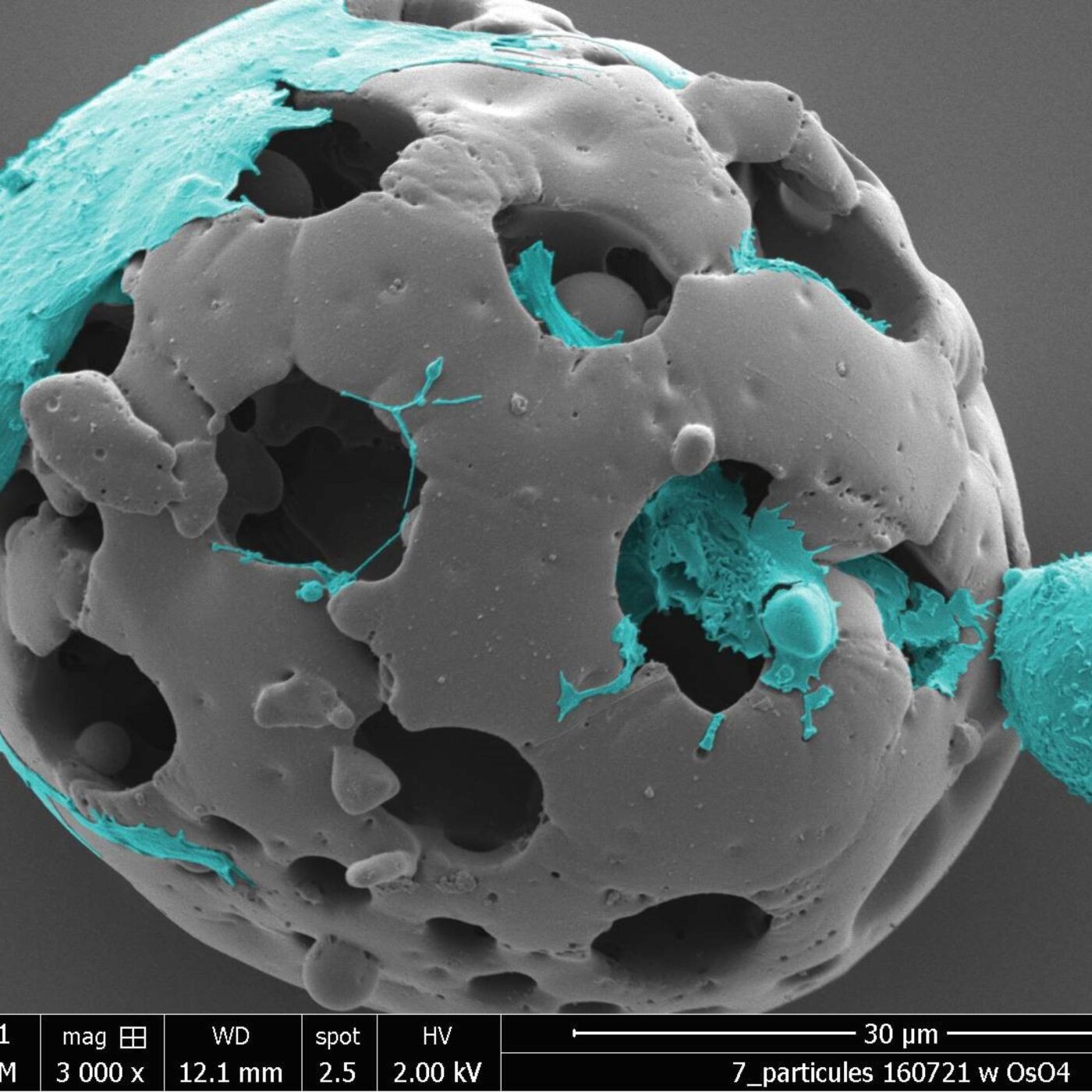 Eurêka · RCF Alsace