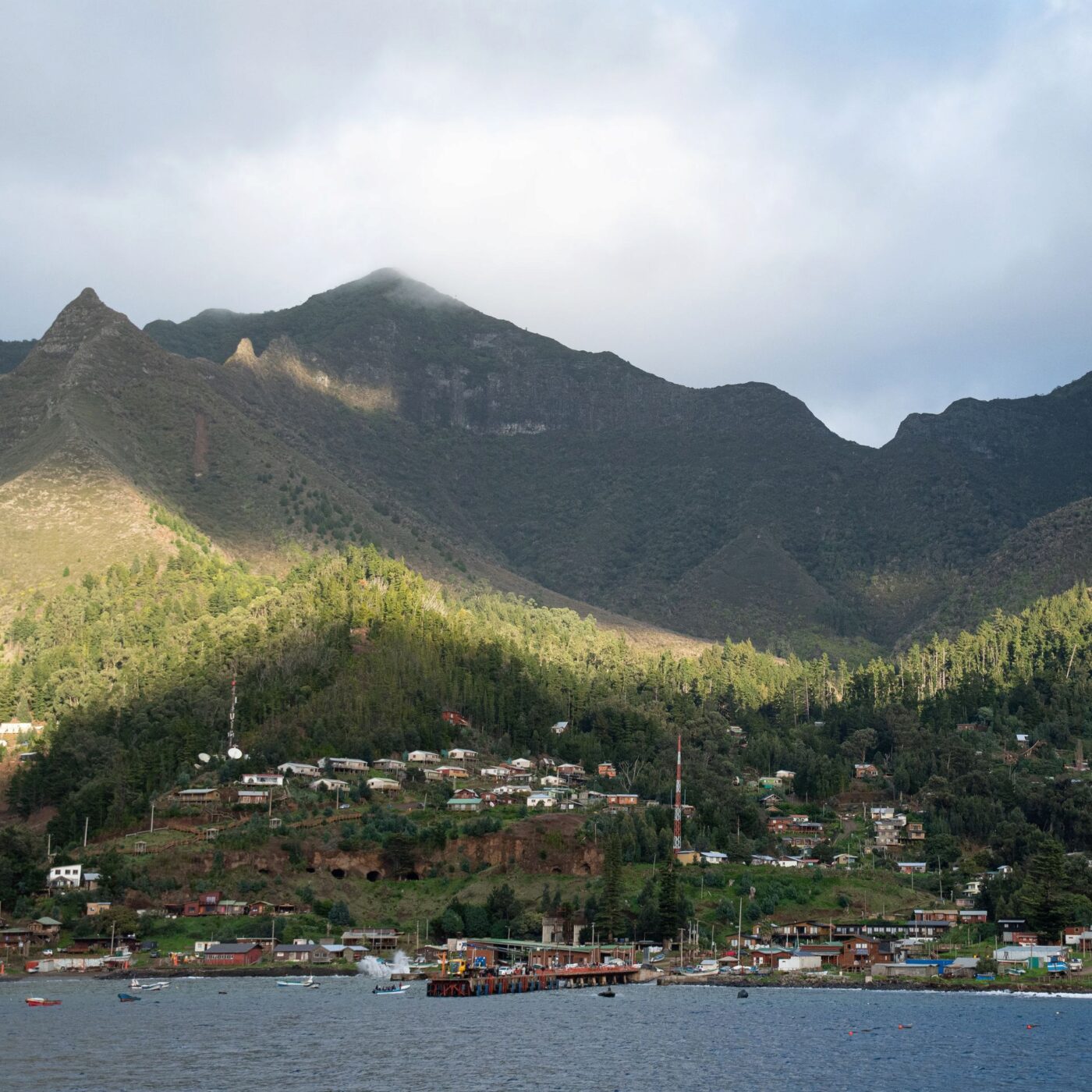 L'île de Robinson Crusoë, un bijou de biodiversité