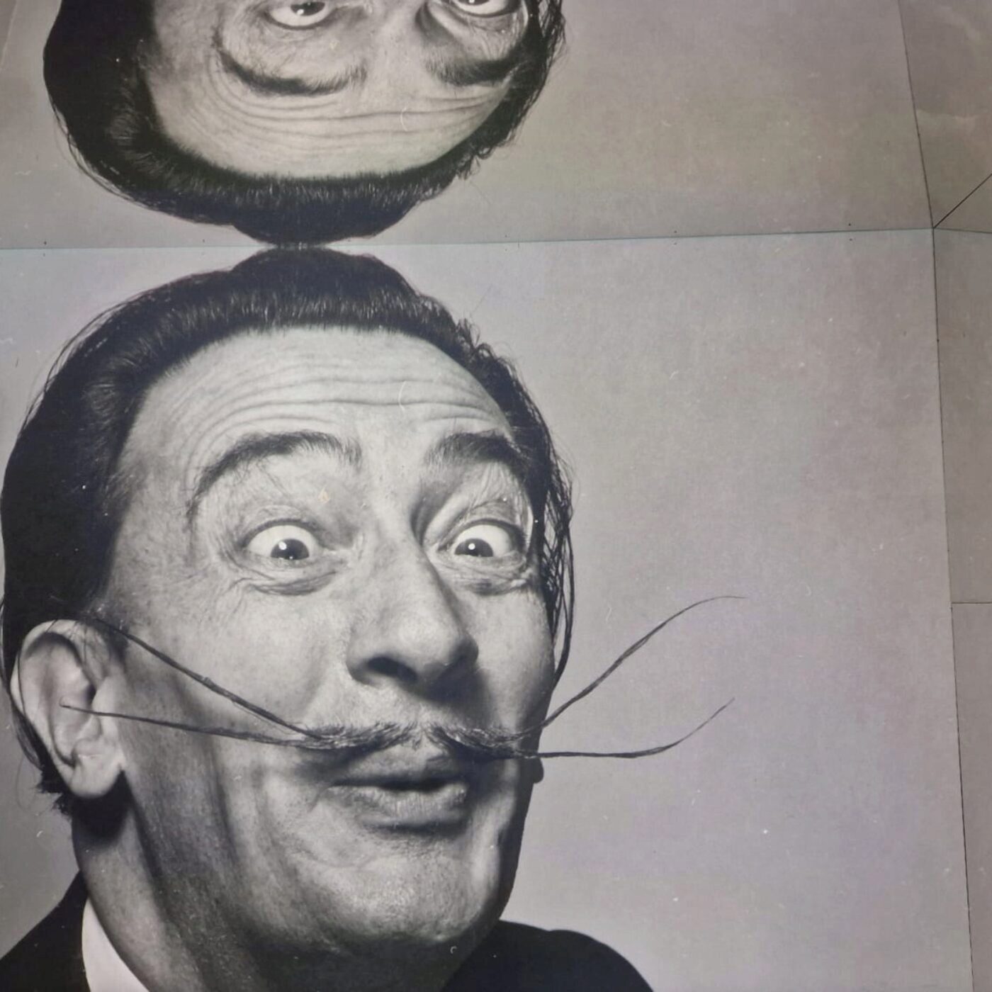 En Catalogne, Salvador Dali, Fou de Figueras episode artwork