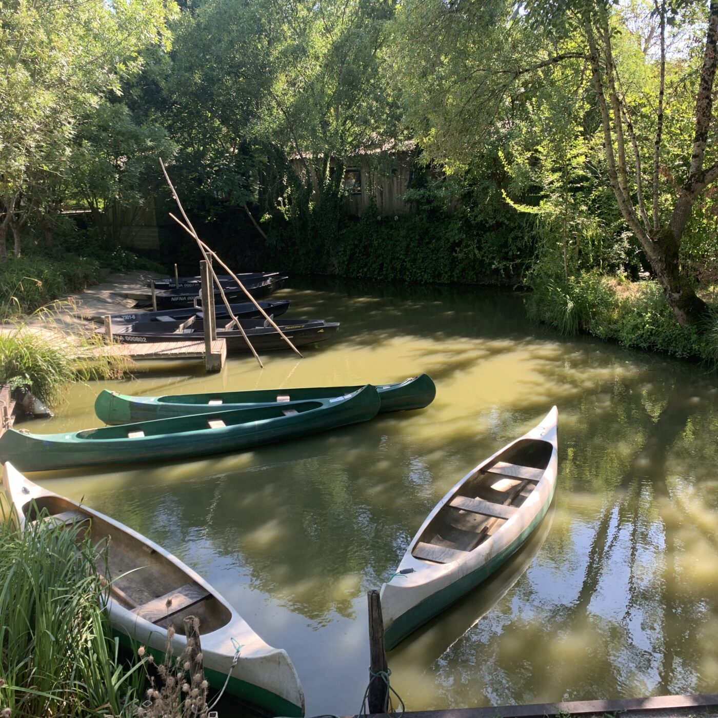 Visite du Marais poitevin en barque et à vélo episode artwork