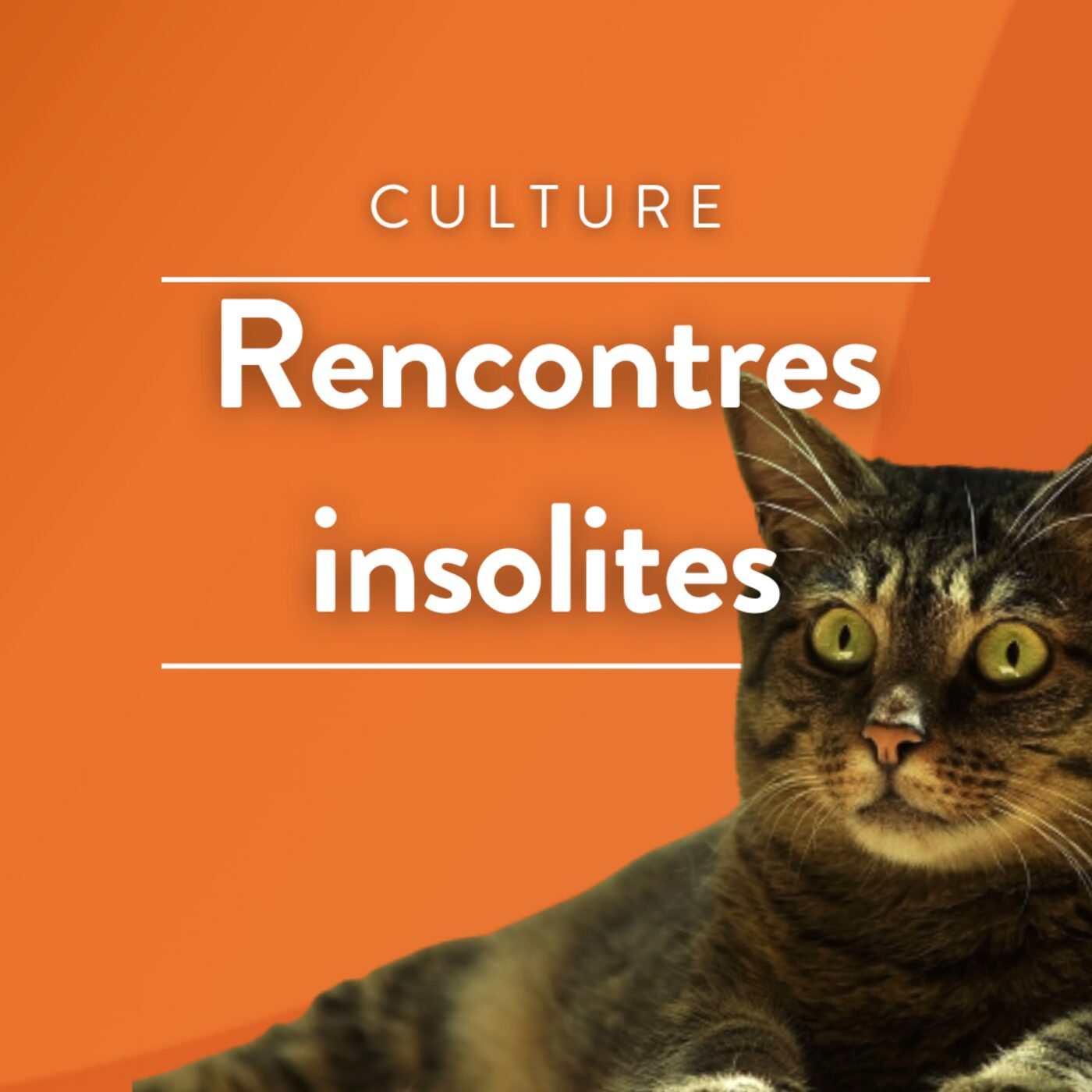 Rencontres insolites