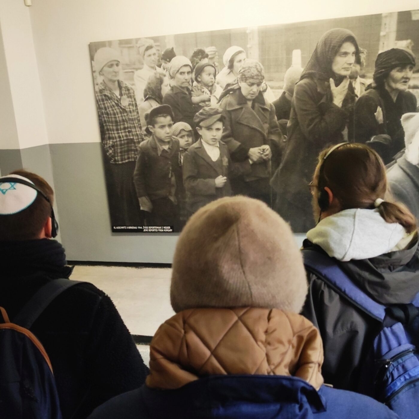 Auschwitz, un voyage de la mémoire (2/3) "Je suis un sur vivant"