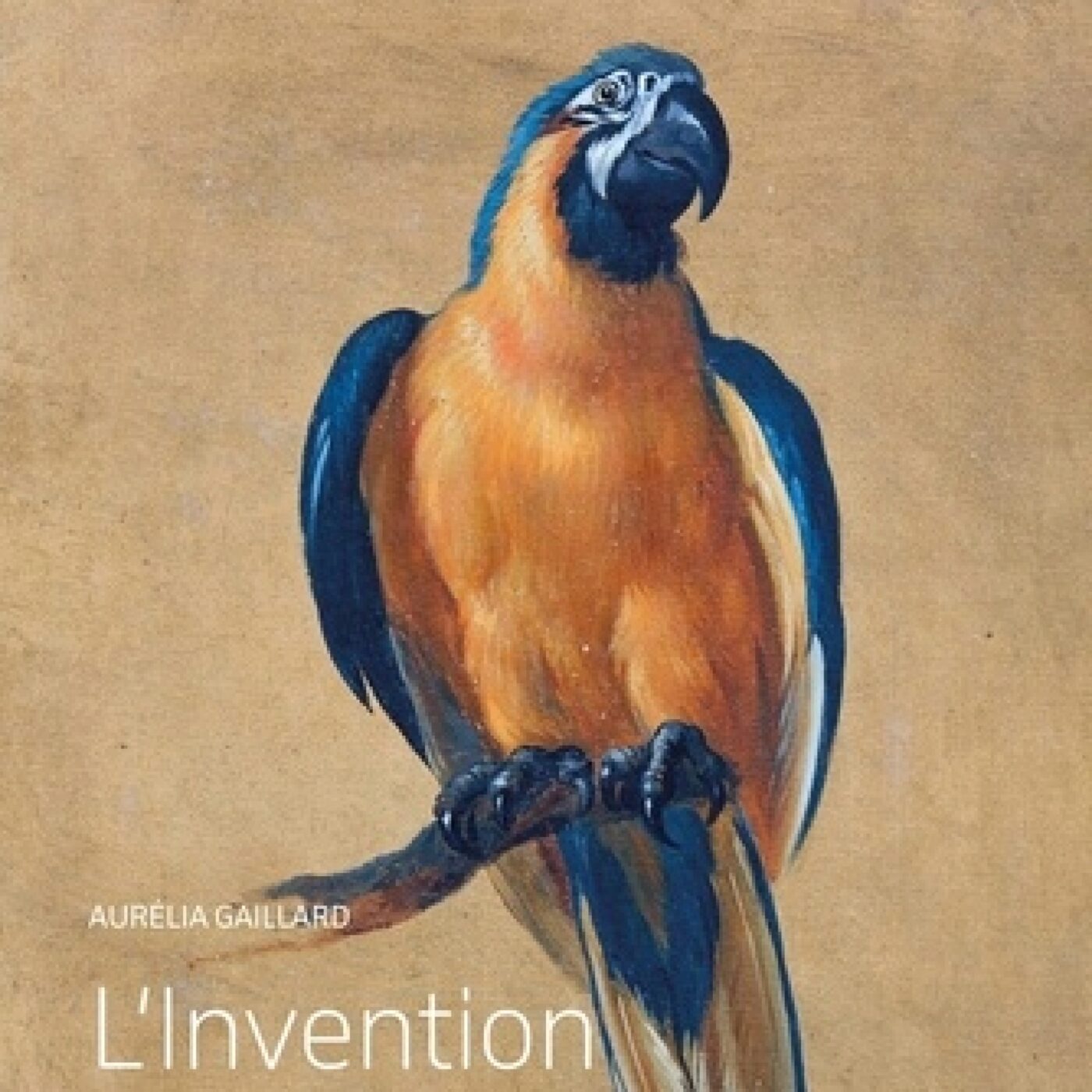 Cinquième de couverture