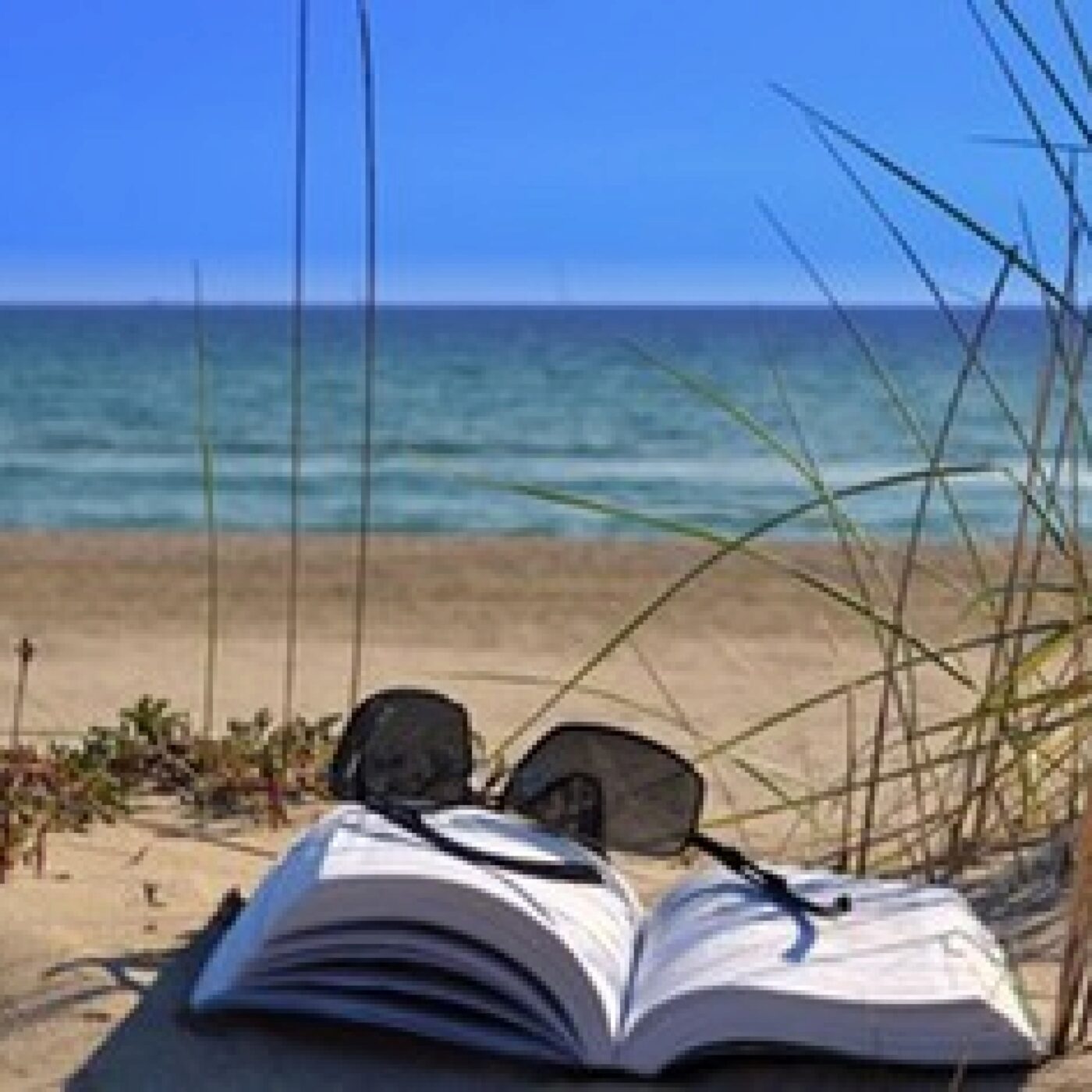 PARTIR EN LIVRE