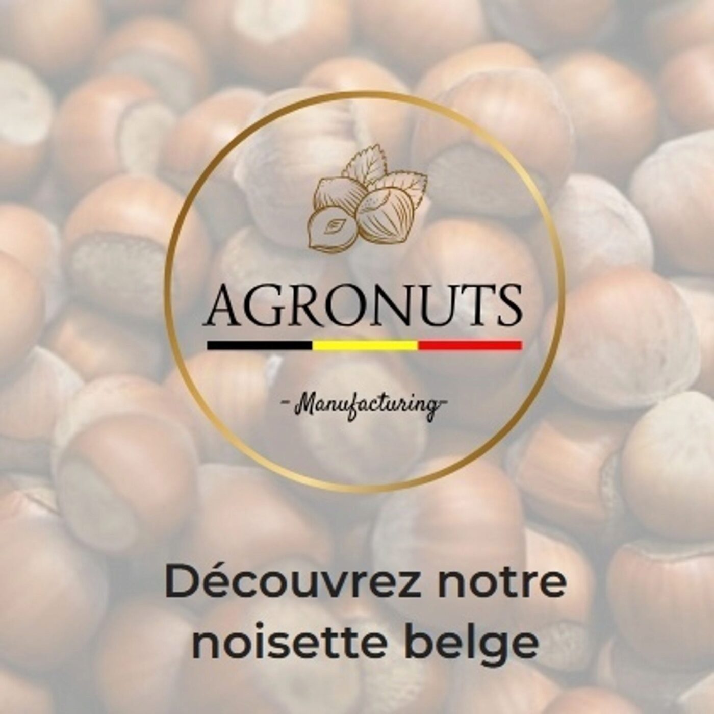 Le potentiel de la culture des noisettes bio en Belgique avec le projet AGRONUTS episode artwork