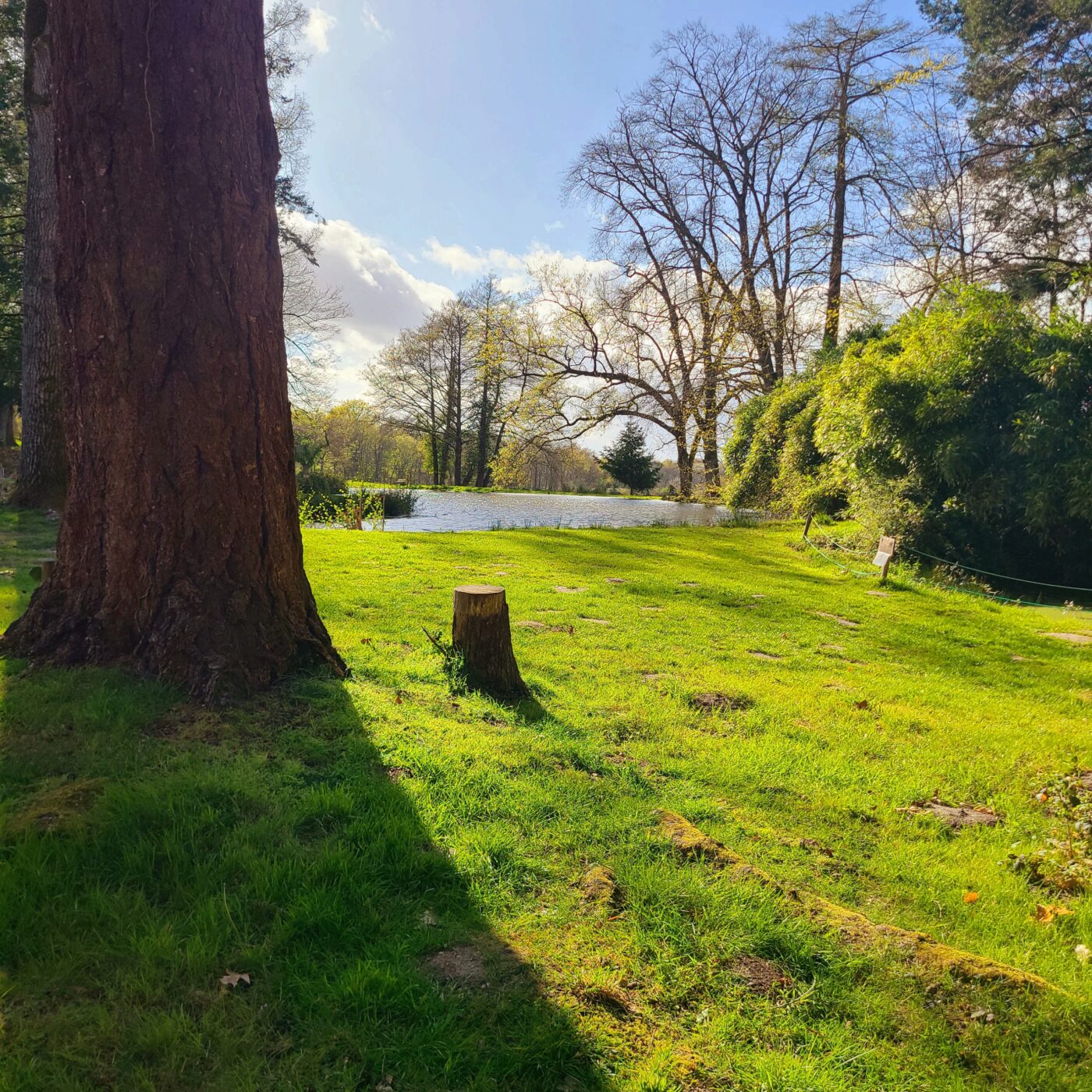 Retour au Domaine du Ciran