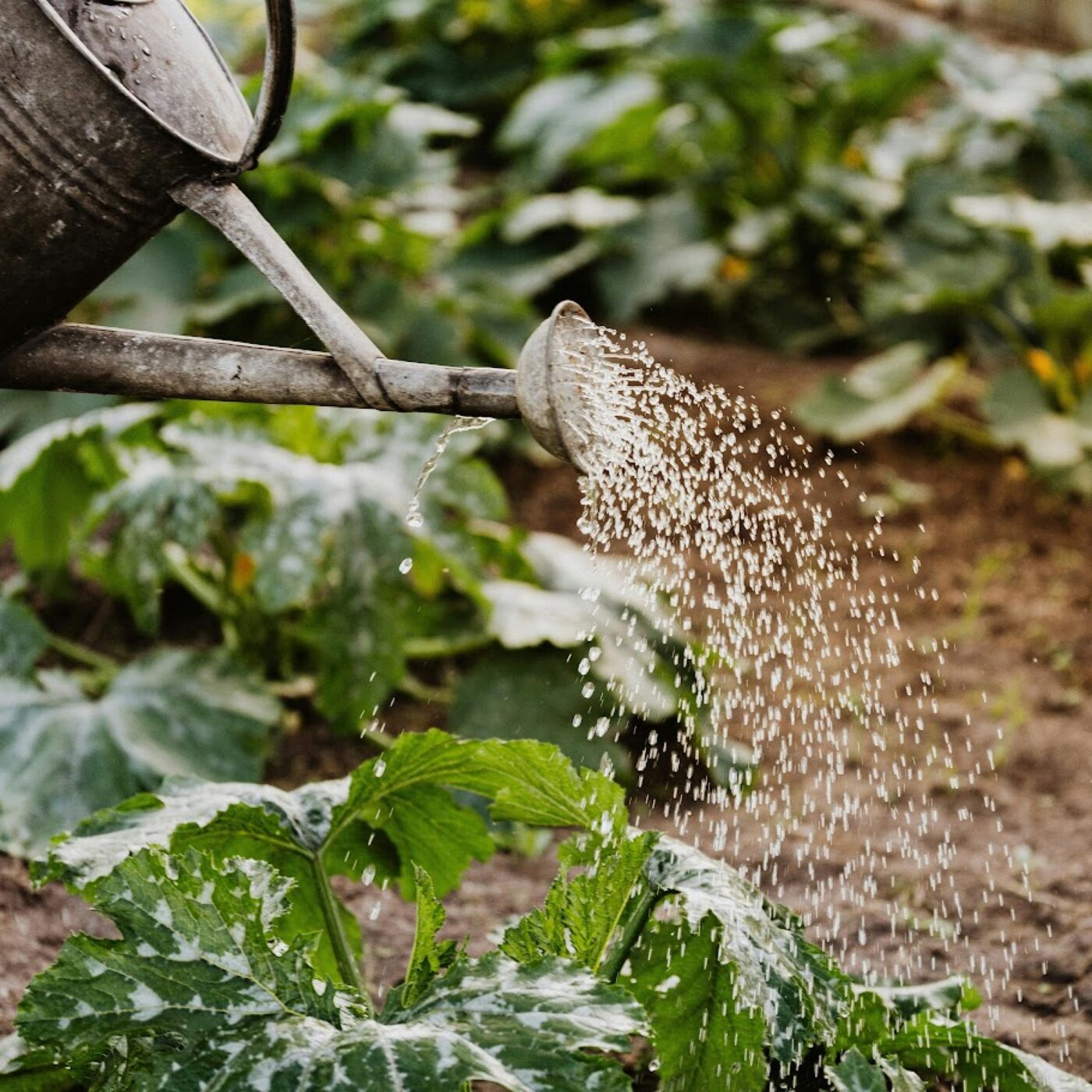 Je pense donc j\'agis